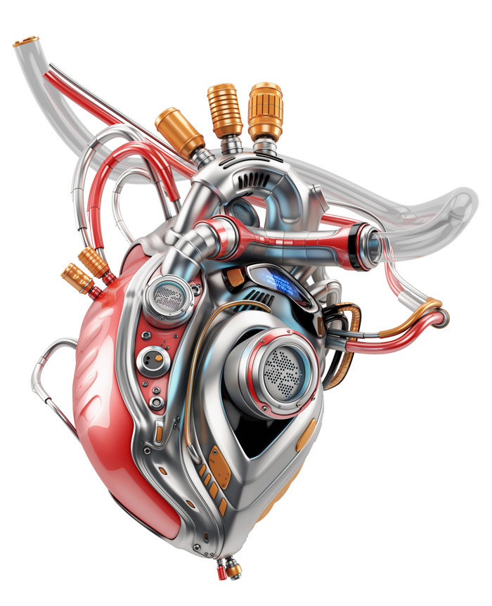 krwioobieg i serce firmy